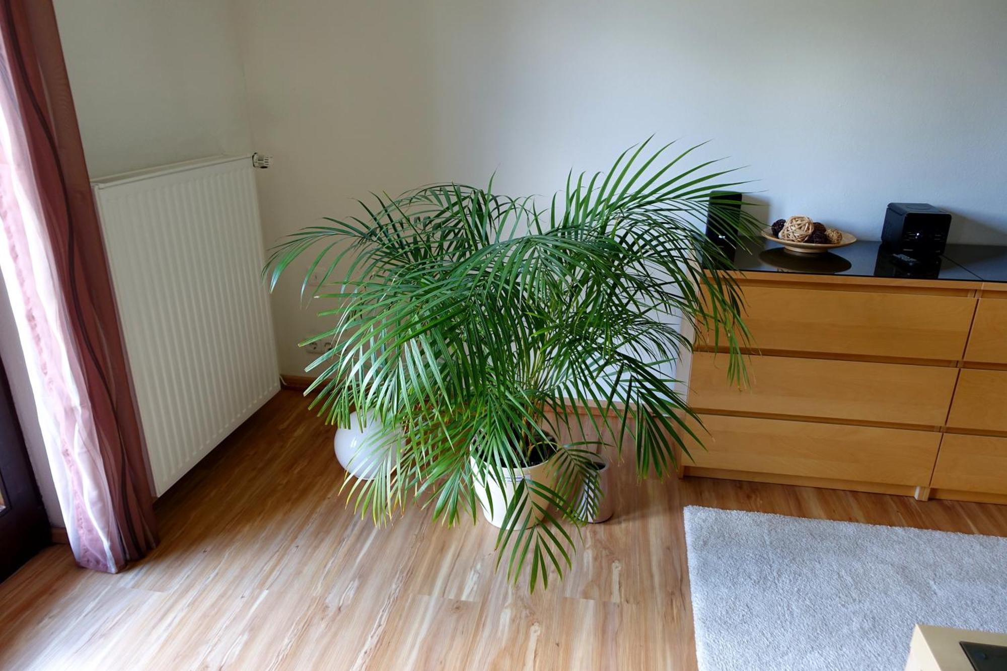 Ferienwohnung Ariane 加爾米施-帕滕基興 外观 照片